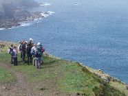 Bottallack_Cornwall_May2008.jpg