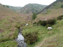 ShropshireHills.jpg